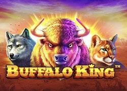 Buffalo King Fortune Clock Casino Slot