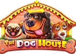 Dog House Fortune Clock Casino Game